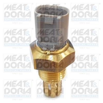 Sensor, intake air temperature